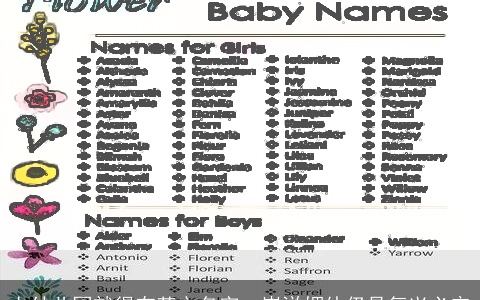 上幼儿园就得有英文名字：崇洋媚外仍是复兴必定