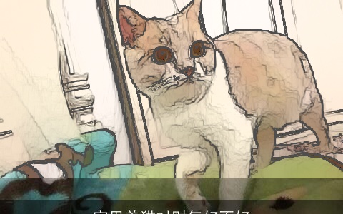 家里养猫对财气好不好