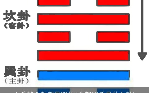 六爻整个卦都是阴的(全部阴爻是什么卦)