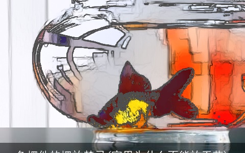 鱼摆件的摆放禁忌(家里为什么不能放干花)