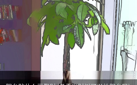 阳台贴什么画聚财(冬天发财树可以放阳台吗)