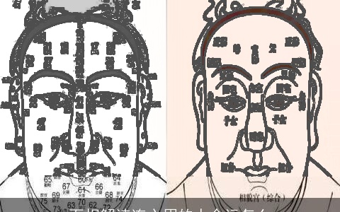 面相解读连心眉的人命运怎么