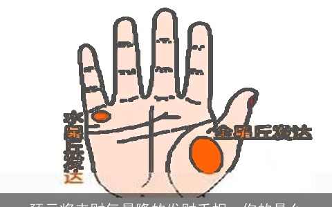 预示将来财气昌隆的发财手相，你的是么