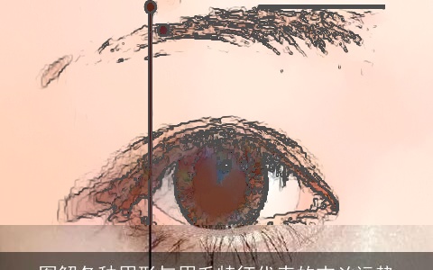 图解各种眉形与眉毛特征代表的吉凶运势