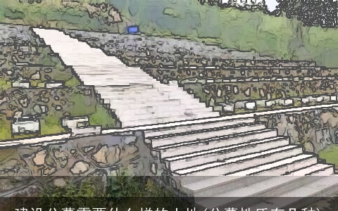 建设公墓需要什么样的土地(公墓性质有几种)