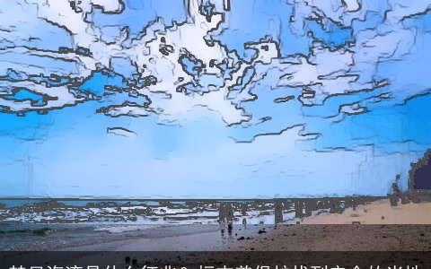 梦见海湾是什么征兆？标志着保护找到安全的当地