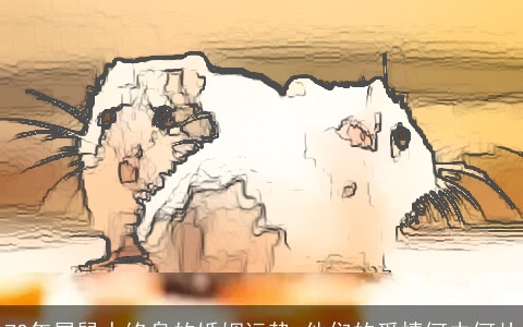 72年属鼠人终身的婚姻运势 他们的爱情何去何从