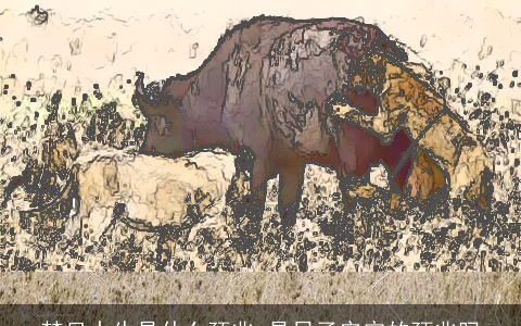 梦见水牛是什么预兆 是日子安定的预兆吗