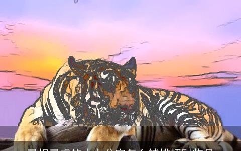 属相属虎的人办公室怎么铺排招财物品