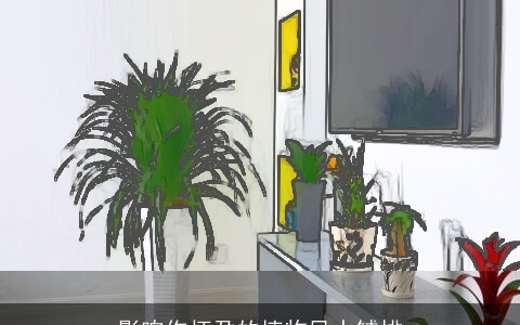 影响你怀孕的植物风水铺排