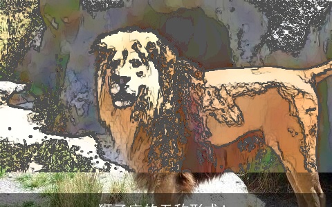 狮子座的无敌形式！