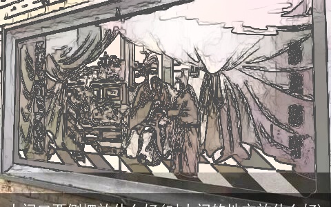 大门口两侧摆放什么好(对大门的地方放什么好)