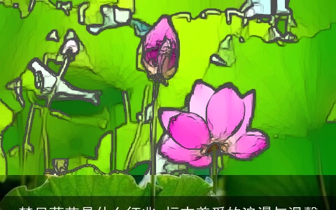 梦见荷花是什么征兆 标志着爱的浪漫与温馨