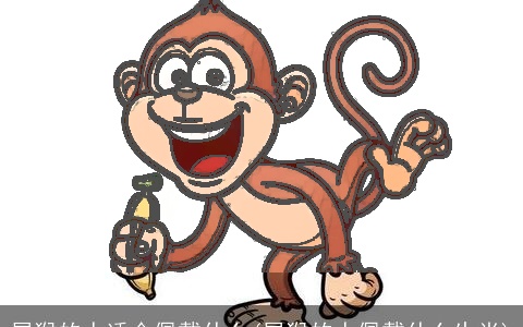 属猴的人适合佩戴什么(属猴的人佩戴什么生肖)