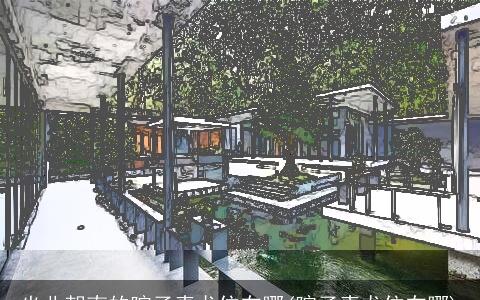 坐北朝南的院子青龙位在哪(院子青龙位在哪)