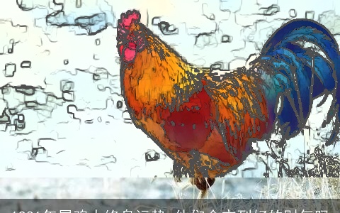 1981年属鸡人终身运势 他们会交到好的财气吗