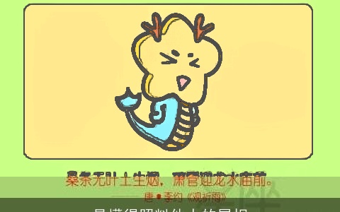 最懂得照料他人的属相