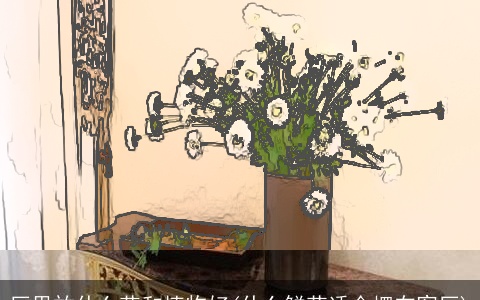 厅里放什么花和植物好(什么鲜花适合摆在客厅)