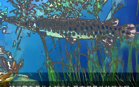 梦见带鱼是什么预兆？是吉仍是凶的预兆吗