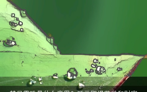 梦见露珠是什么意思？预示取得荣誉和财富