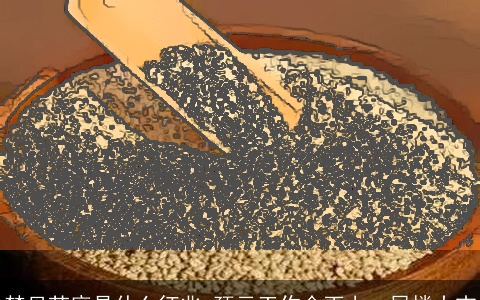 梦见芝麻是什么征兆 预示工作会更上一层楼大吉