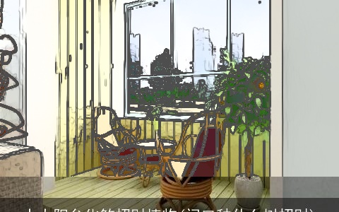 十大阳台化煞招财植物(门口种什么树招财)