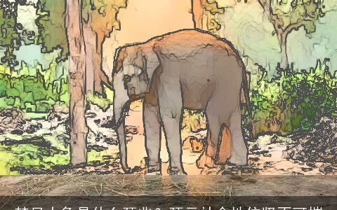 梦见大象是什么预兆？预示社会地位坚不可摧