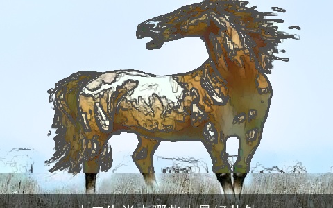 十二生肖中哪些人最好共处