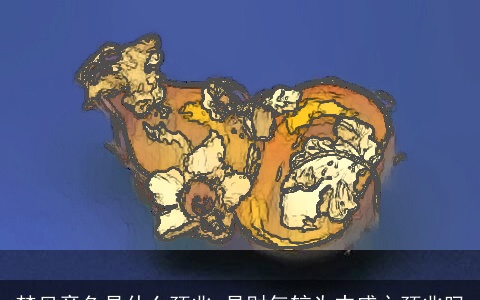 梦见章鱼是什么预兆 是财气较为丰盛之预兆吗