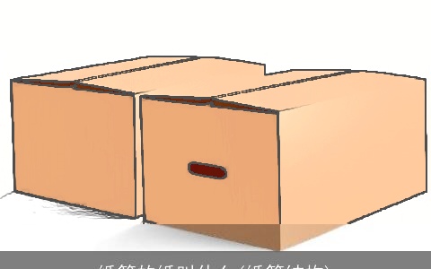 纸箱的纸叫什么(纸箱结构)