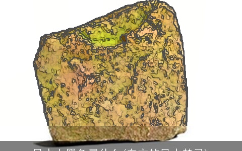 风水上黑色属什么(东方的风水禁忌)