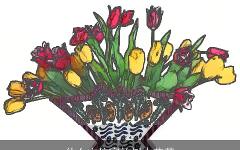 什么方位宜放树木花草