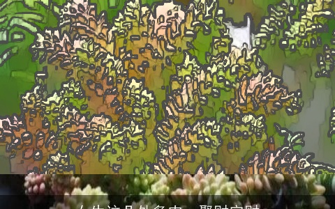 女生这几处多肉，聚财守财