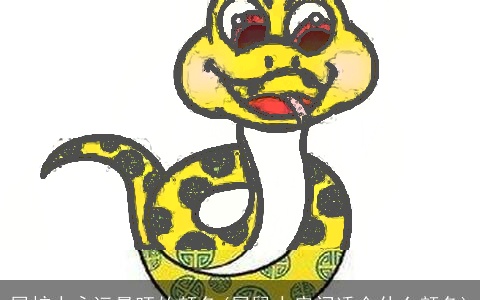 属蛇人永远最旺的颜色(属鼠人房间适合什么颜色)