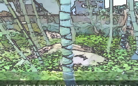 竹子还有个名字叫什么(好听的竹子名称大全)