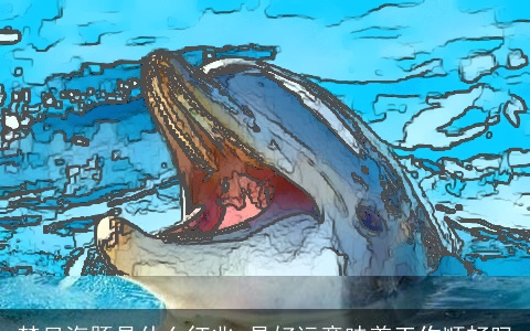 梦见海豚是什么征兆 是好运意味着工作顺畅吗