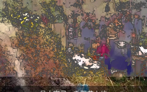 风水宜忌：重阳节上坟