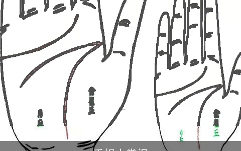 手相小常识