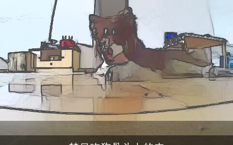 梦见吃狗骨头上的肉