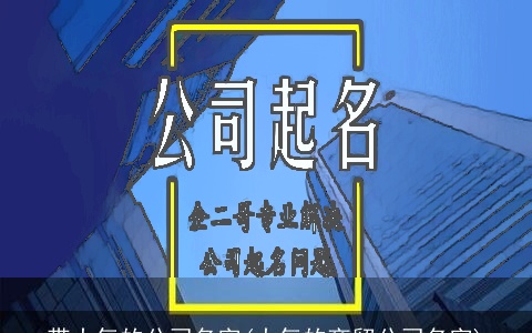 带大气的公司名字(大气的商贸公司名字)