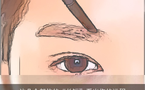 这几个部位的“长短”看出你的运程