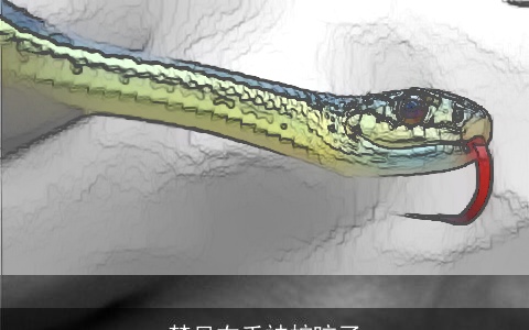 梦见右手被蛇咬了