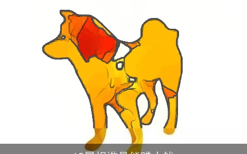 12属相谁最能赚大钱