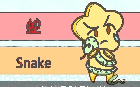 很简单就感染孤寂的属相