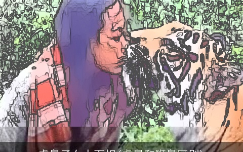 虎鼻子女人面相(虎鼻和狮鼻区别)