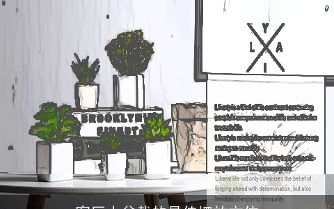 客厅小盆栽的最佳摆放方位