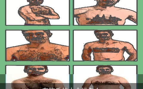 有胸毛的人命运怎么