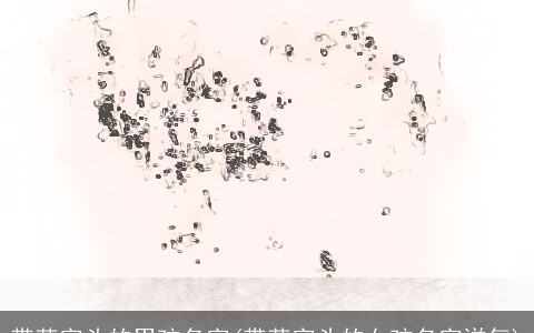 带草字头的男孩名字(带草字头的女孩名字洋气)