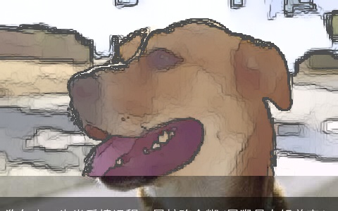 狗年十二生肖爱情运程：属蛇陷含糊/属猴易有姐弟恋！