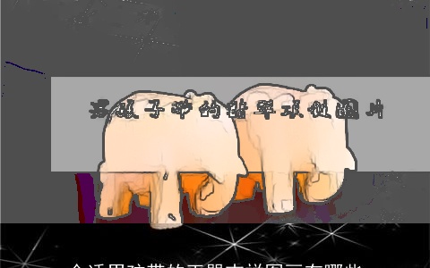 合适男孩带的玉器吉祥图画有哪些